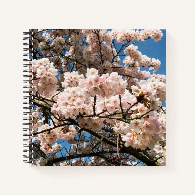 Cuaderno Árbol de cerezo en flor, Oregón (Anverso)