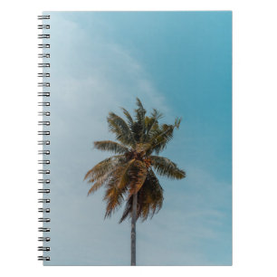 Cuaderno Árbol de coco verde bajo cielo azul