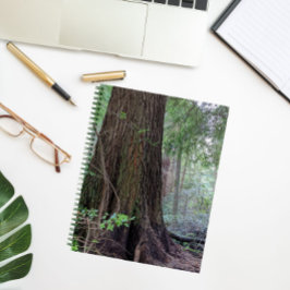 Cuaderno Árbol de coníferas forestales gigantes