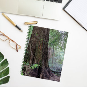 Cuaderno Árbol de coníferas forestales gigantes