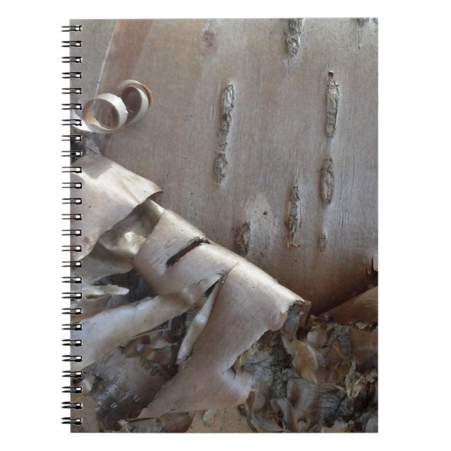 Cuaderno Árbol de corteza de abedul rizado rústico (Frente)