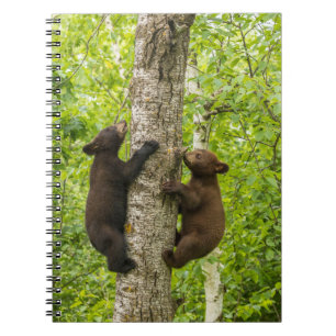 Cuaderno Árbol de escalada de ositos negros