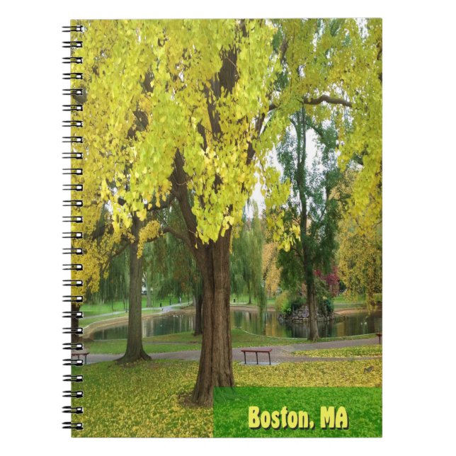 Cuaderno Árbol de guignko amarillo - Jardín público de Bost (Frente)