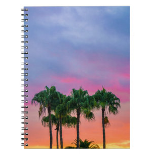 Cuaderno Árbol de hojas verdes bajo cielo azul durante la h