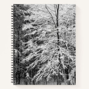 Cuaderno Árbol De Maple Esbozado En El Boletín De Nieve