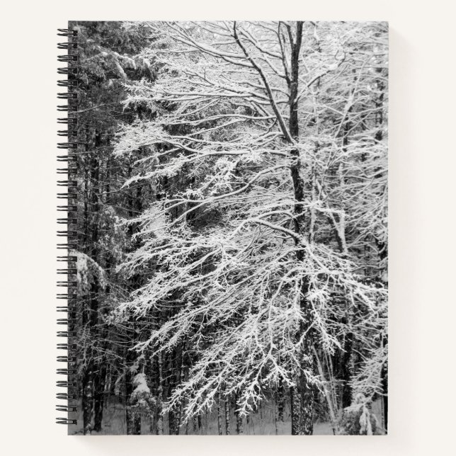 Cuaderno Árbol De Maple Esbozado En El Boletín De Nieve (Anverso)