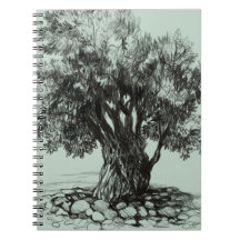 Árbol de oliva antiguo