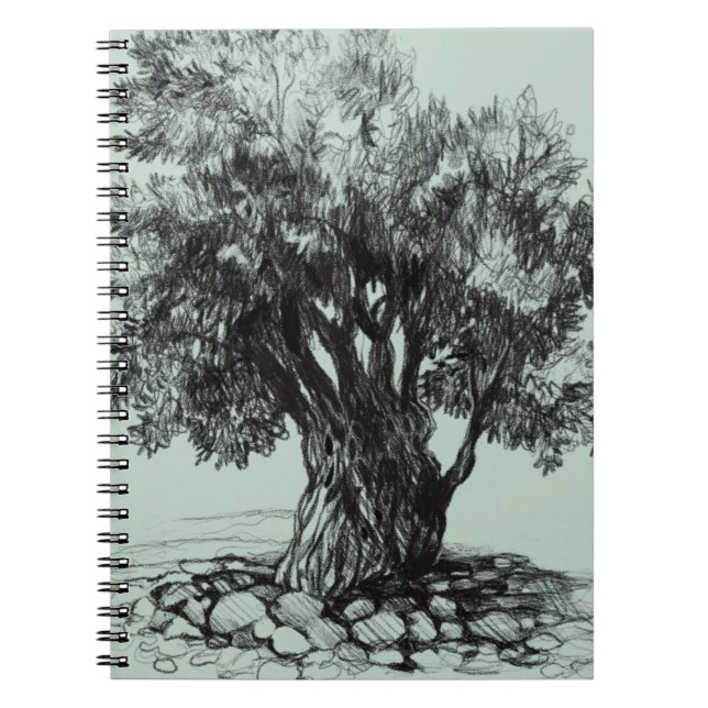 Cuaderno Árbol de oliva antiguo (Frente)