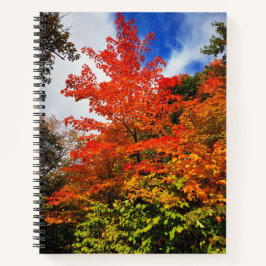 Cuaderno Árbol de otoño
