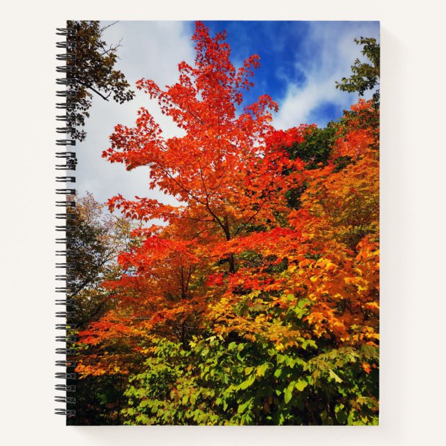 Cuaderno Árbol de otoño (Anverso)