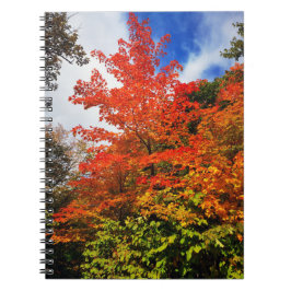Cuaderno Árbol de otoño