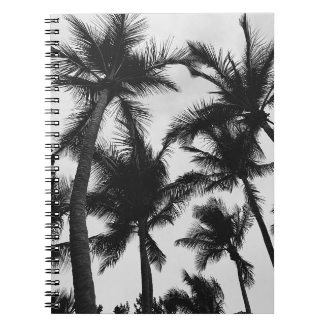 CUADERNO ÁRBOL DE PALMA DE COCOTERO VINTAGE (Frente)
