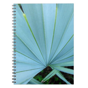 Cuaderno Árbol de palma gris de Bismarck cerrar