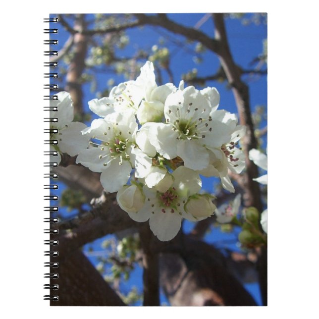 Cuaderno Árbol de peras florido de primavera de los Cluster (Frente)