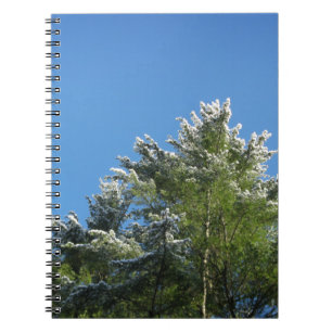 Cuaderno Árbol de pino con puntas de nieve en cielo azul