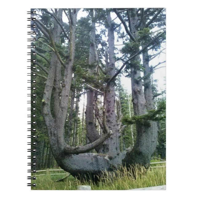 Cuaderno Árbol de pulpo, meares de Cabo, orregón (Frente)