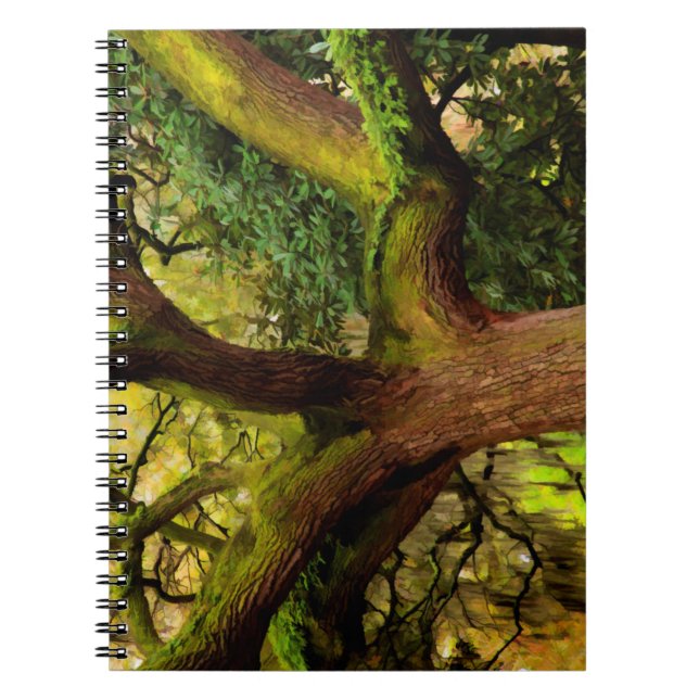 Cuaderno Árbol de roble (Frente)