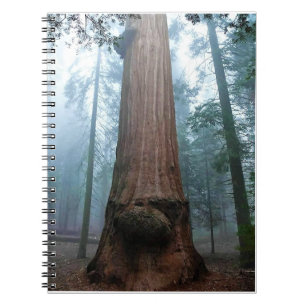 Cuaderno Árbol de secuoyas gigantes en Grant Grove, CA