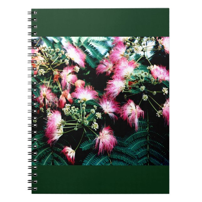 Cuaderno Árbol de seda (Frente)