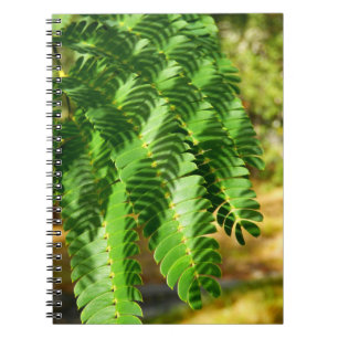 Cuaderno Árbol de seda persa deja foto portátil