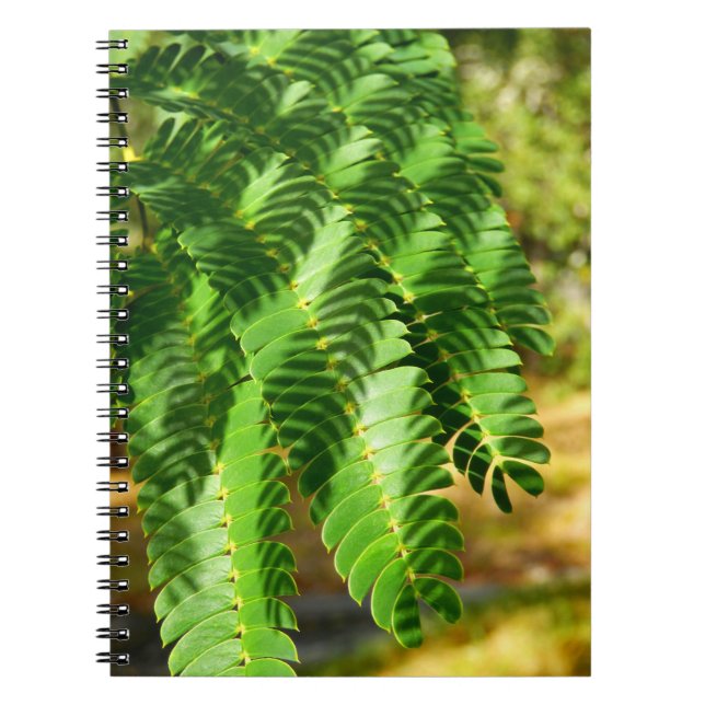 Cuaderno Árbol de seda persa deja foto portátil (Frente)