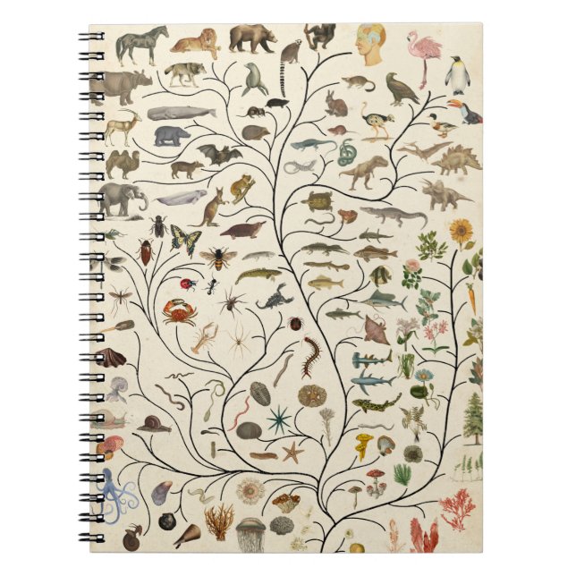 Cuaderno Árbol de vida (Frente)