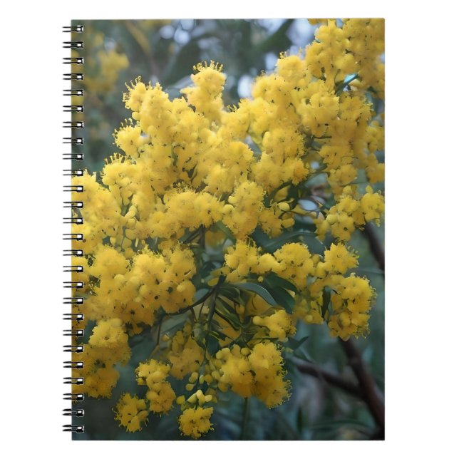 Cuaderno Árbol de Wattle amarillo australiano, (Frente)