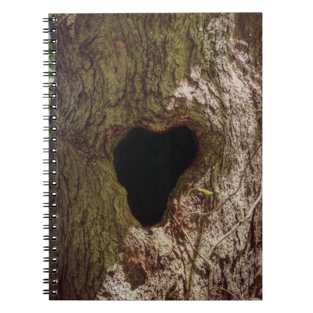 Cuaderno Árbol del corazón (Frente)