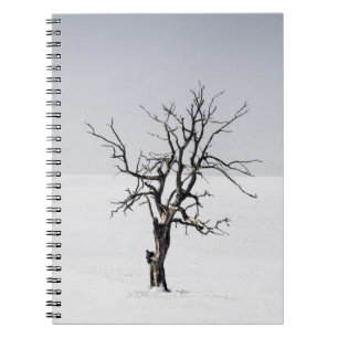 CUADERNO ÁRBOL DESPIDO EN MEDIO DE LA NIEVE