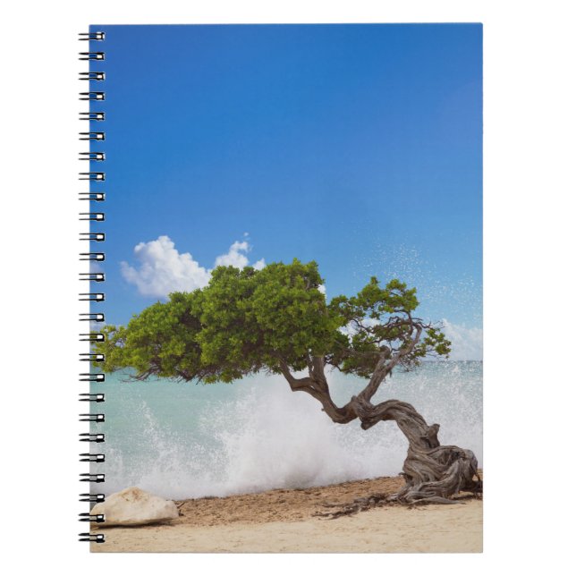 Cuaderno Árbol Divi, Eagle Beach, Aruba, Caribe (Frente)