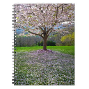 Cuaderno Árbol floreciente de cerezo rosa con bosques