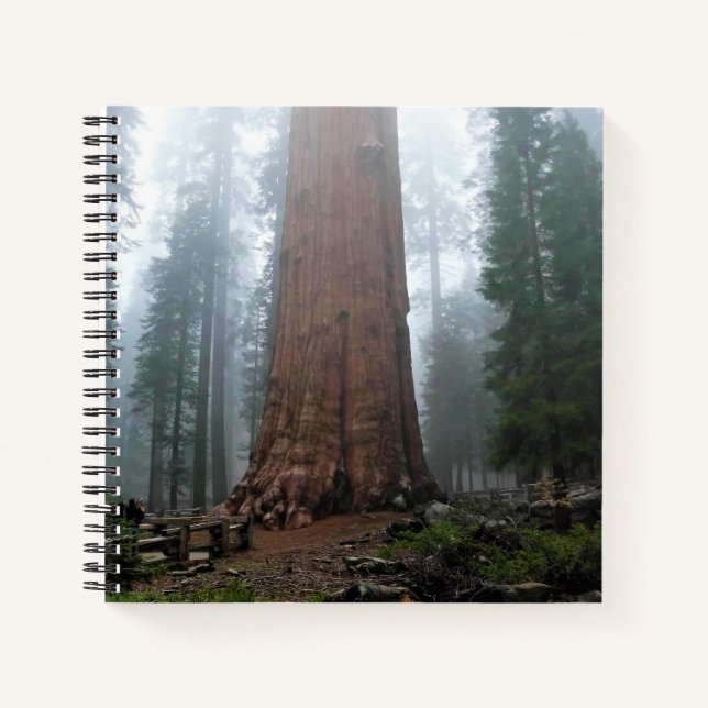 Cuaderno Árbol General Sherman, Sequoia, CA (Anverso)