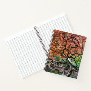 Cuaderno Árbol japonés de arce retorcido y nudoso