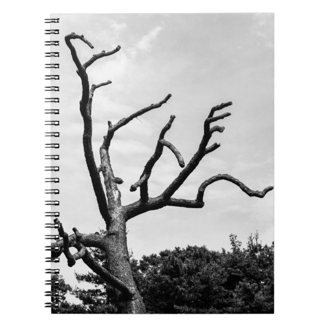 Cuaderno árbol libre (Frente)
