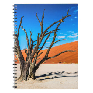 Cuaderno Árbol muerto en Deadvlei, Namibia