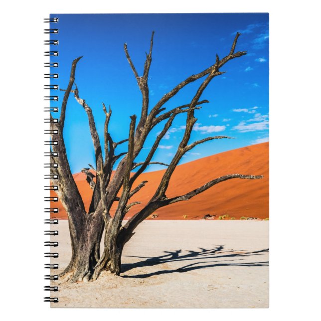 Cuaderno Árbol muerto en Deadvlei, Namibia (Frente)