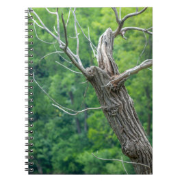 Cuaderno Árbol Muerto en la Ribera del Río Mississ