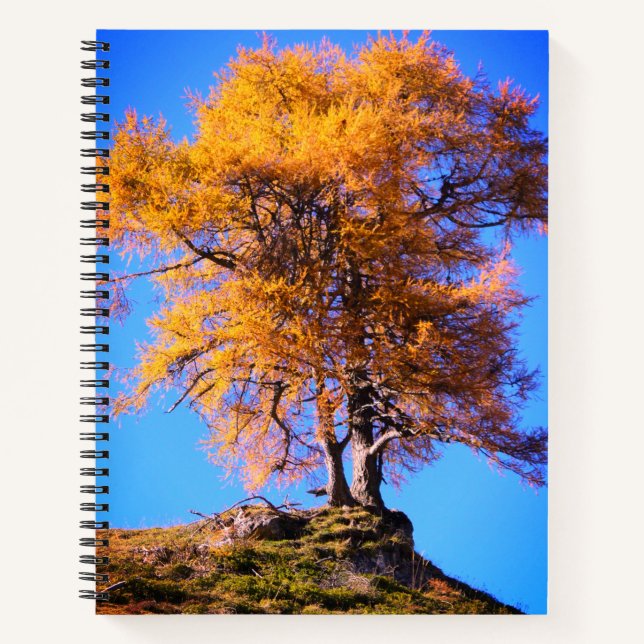 Cuaderno Árbol otoñal (Anverso)