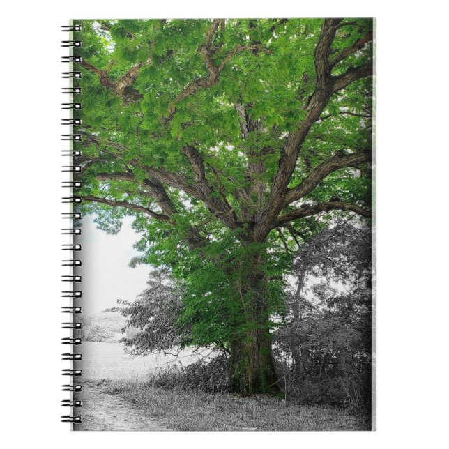 Cuaderno Árbol poderoso (Frente)