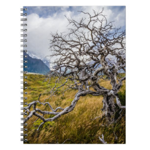 Cuaderno Árbol quemado, Torres del Paine, Chile