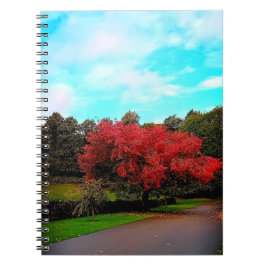 Cuaderno Árbol rojo