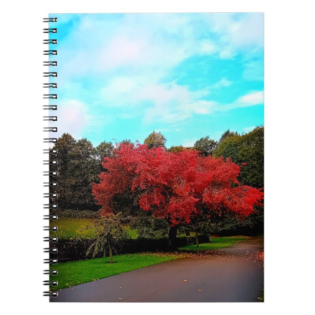 Cuaderno Árbol rojo (Frente)