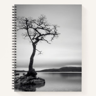 Cuaderno Árbol solitario