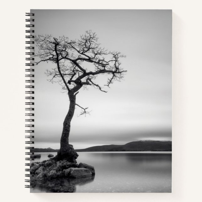 Cuaderno Árbol solitario (Anverso)