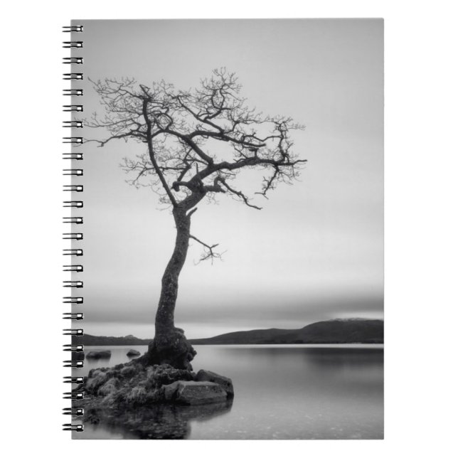 Cuaderno Árbol solitario (Frente)