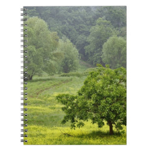 Cuaderno Árbol solitario en campo agrícola, Toscana, 2