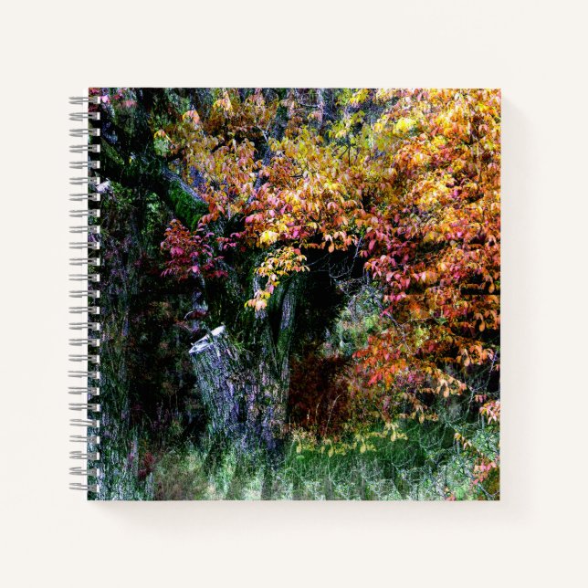 Cuaderno Árbol viejo de roble...... (Anverso)