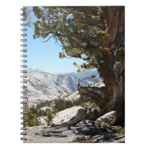 Cuaderno Árbol viejo en el parque nacional de Yosemite