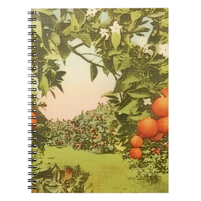 Cuaderno Arboleda de Naranja Antigua (Frente)