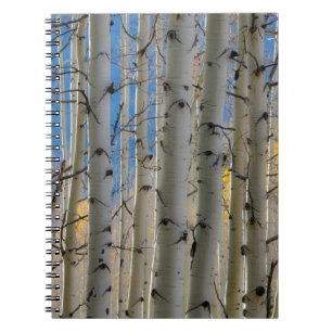 Cuaderno Arboledas de Aspen Montañas Rocosas de Colorado